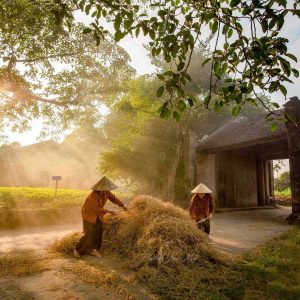 LE VIETNAM EN 10 JOURS